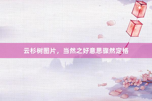 云杉树图片，当然之好意思骤然定格