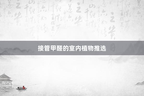 接管甲醛的室内植物推选