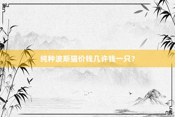 纯种波斯猫价钱几许钱一只？