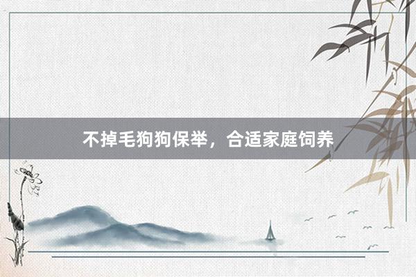 不掉毛狗狗保举,合适家庭饲养