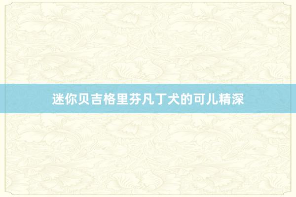 迷你贝吉格里芬凡丁犬的可儿精深